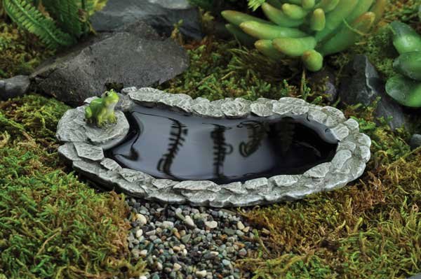 Fiddlehead Miniature Garden- Frog Pond