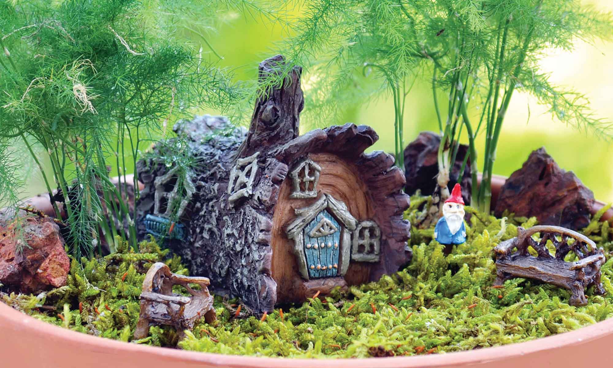 Fairy Gardens- a miniature world, outside – The Fiddlehead Fairy Garden